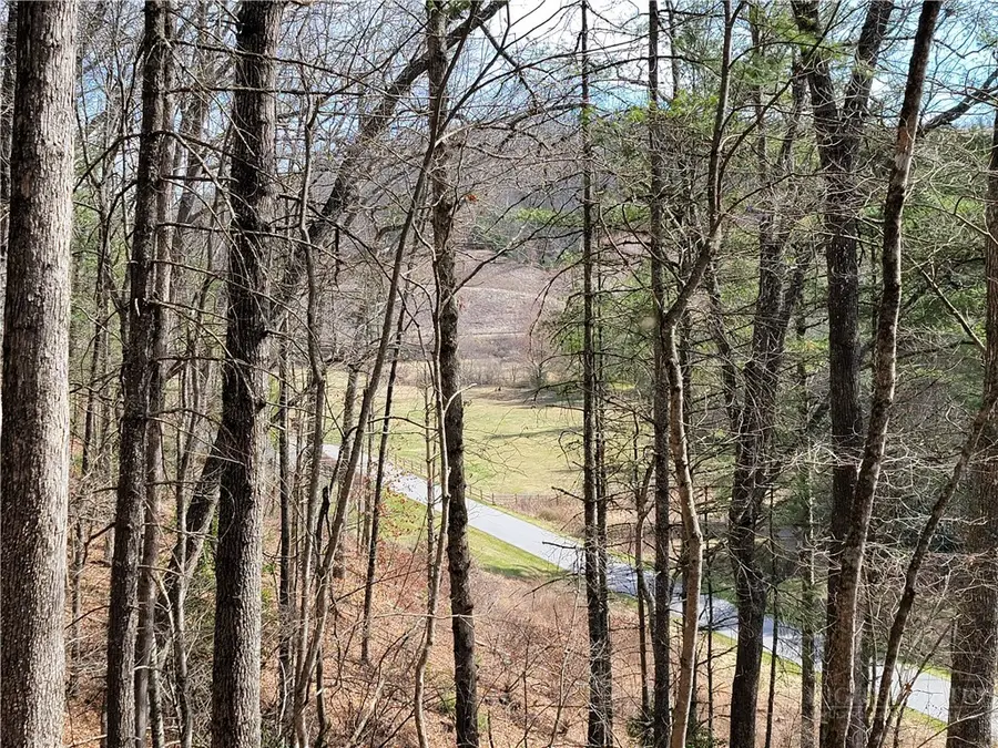 TBD (Lot 72) Creekside Meadows Drive, Fleetwood, NC 28626 - #2