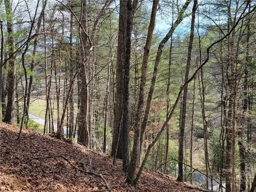 TBD (Lot 72) Creekside Meadows Drive, Fleetwood, NC 28626 - #3