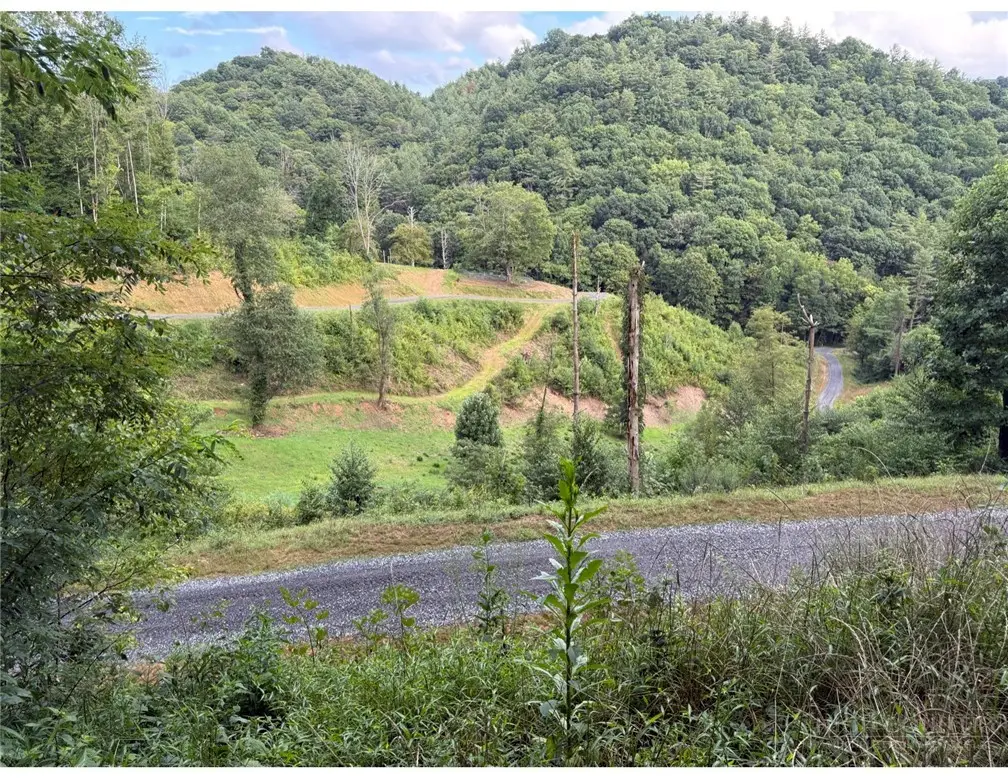 Lot 3 Horseshoe Trail, Lansing, NC 28643 - #1