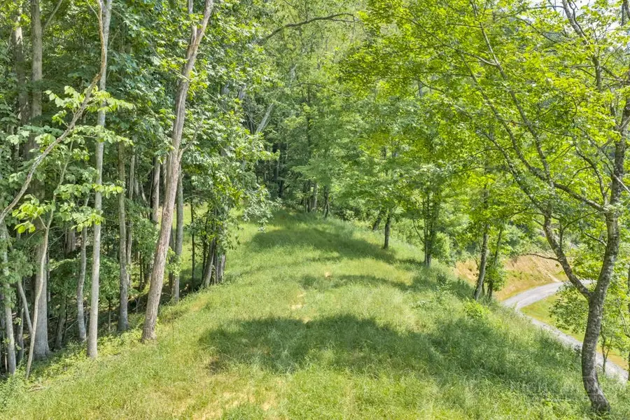 Lot 3 Horseshoe Trail, Lansing, NC 28643 - #2