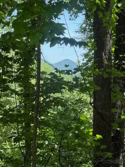 TBD Lot 30 High Meadows Court, Fleetwood, NC 28626