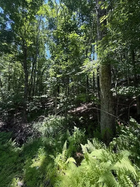 TBD Lot 30 High Meadows Court, Fleetwood, NC 28626 - #3