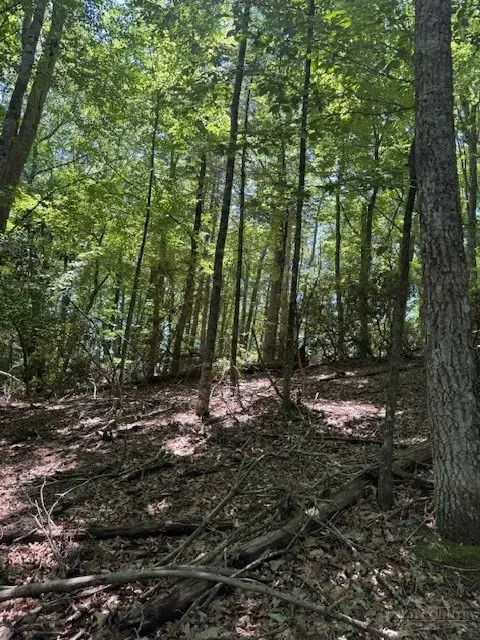 TBD Lot 20 High Meadows Lane, Fleetwood, NC 28626 - #3