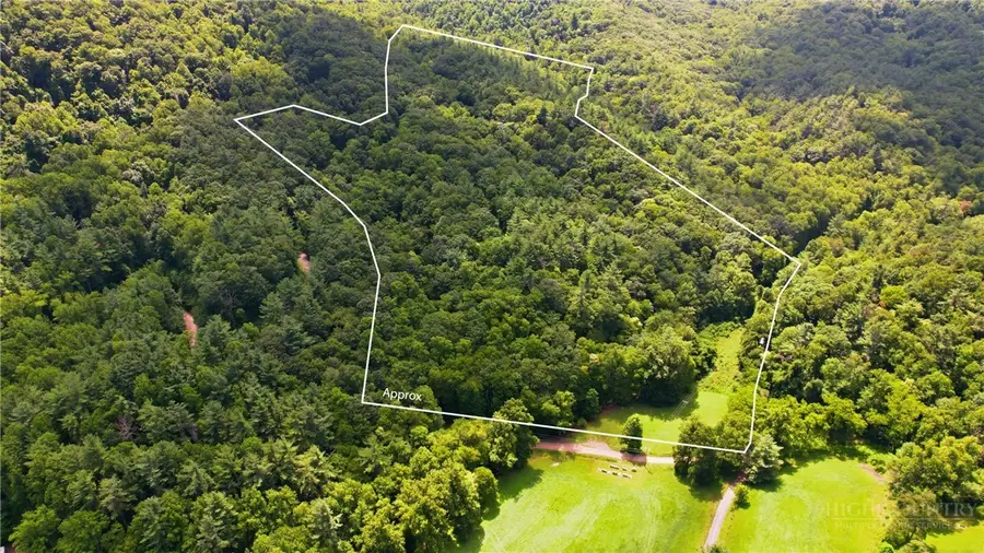 TBD Big Ivy Road, Purlear, NC 28665 - #2