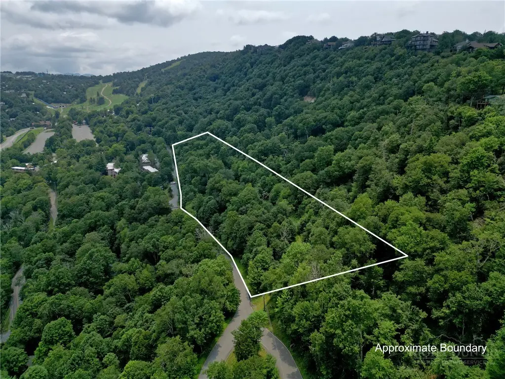 123 Village Road, Beech Mountain, NC 28604 - #1