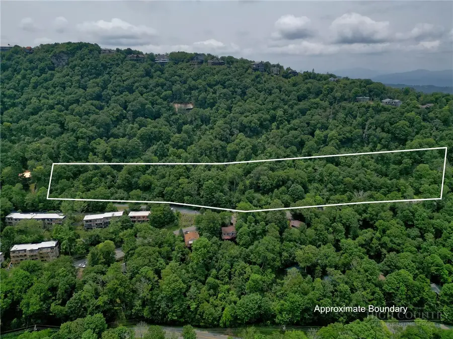 123 Village Road, Beech Mountain, NC 28604 - #3