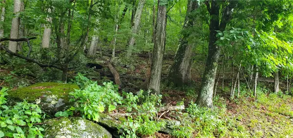 TBD Thorncliff Drive, Seven Devils, NC 28601