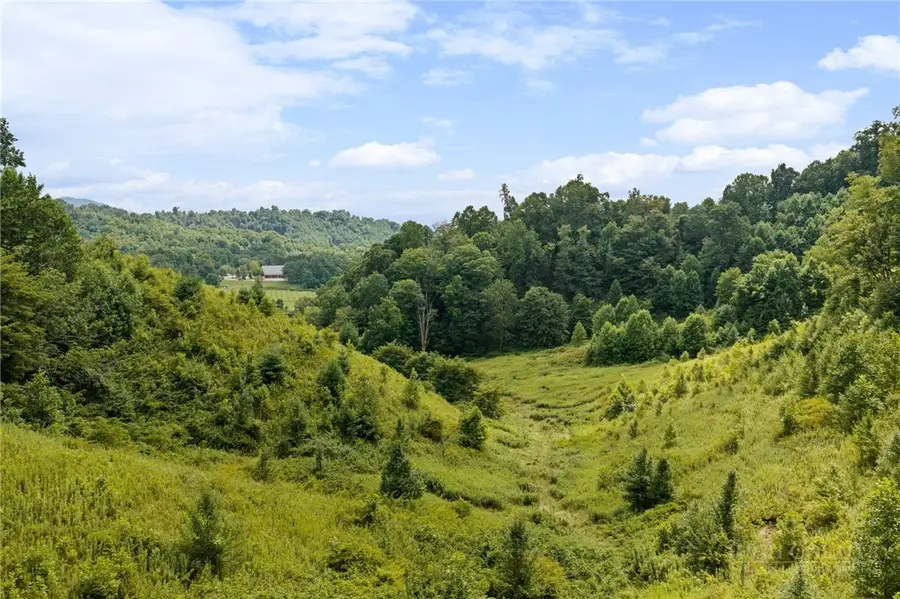 V/L Slabtown Road, Zionville, NC 28607 - #2