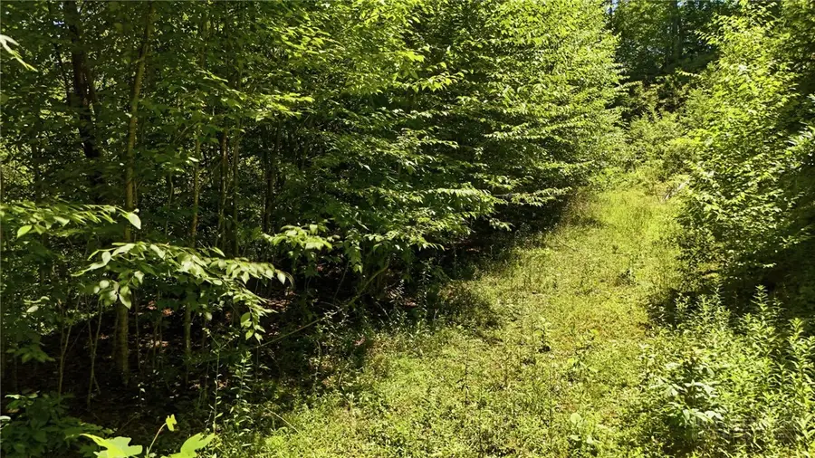 Lot 1 Laurel Ridge Lane, Banner Elk, NC 28604 - #2