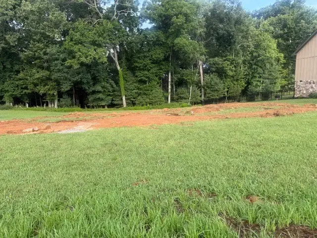 Lot #2 Turtle Ridge Road, Sparta, NC 28675 - #3