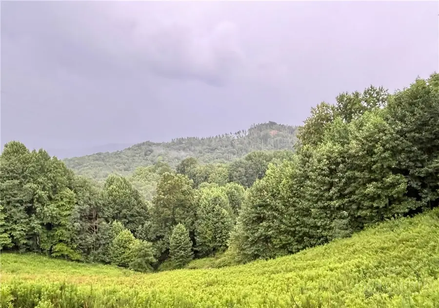 244 Flat Springs Road, Elk Park, NC 28622 - #3