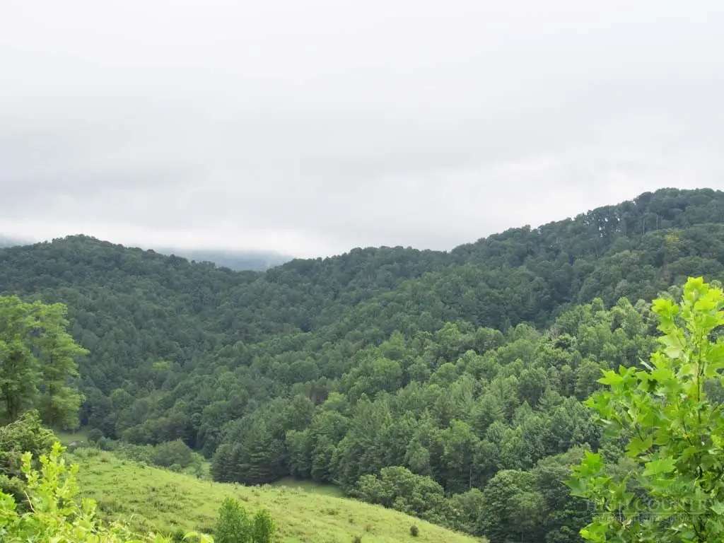 TBD Little Laurel Road, Creston, NC 28615 - #1