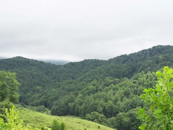 TBD Little Laurel Road, Creston, NC 28615
