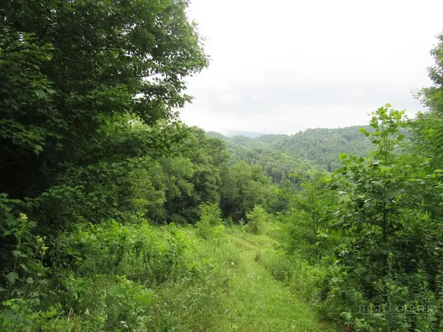 TBD Little Laurel Road, Creston, NC 28615 - #2
