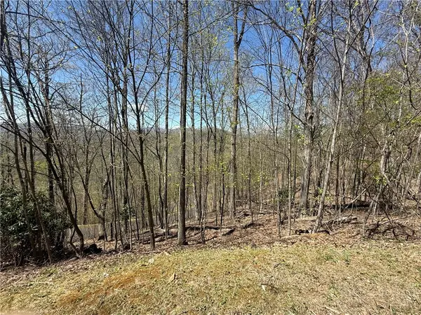 24 Elk Mountain Loop, Newland, NC 28657