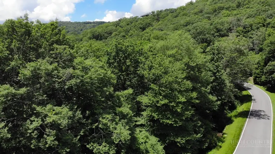 1716 Forest Ridge Drive, Linville, NC 28646 - #2