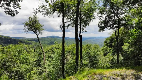 1709 Forest Ridge Drive, Linville, NC 28646