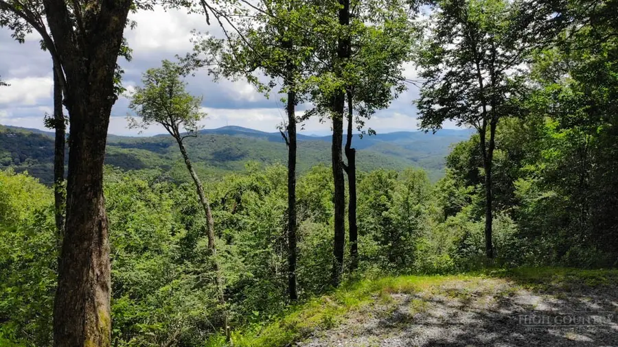 1709 Forest Ridge Drive, Linville, NC 28646 - #2