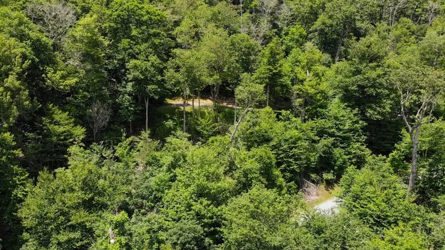 1709 Forest Ridge Drive, Linville, NC 28646 - #3