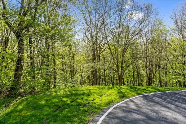 311 Dam Trail, Linville, NC 28646