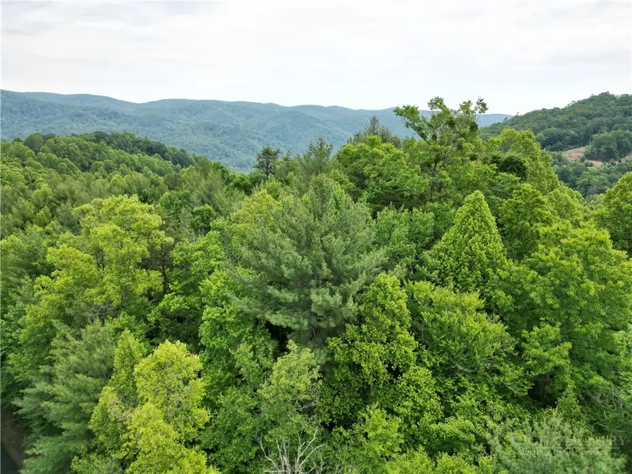4 Fox Cove Road, Ferguson, NC 28624 - #2