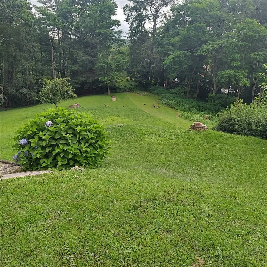 8676 Nc Hwy 183, Newland, NC 28657 - #2