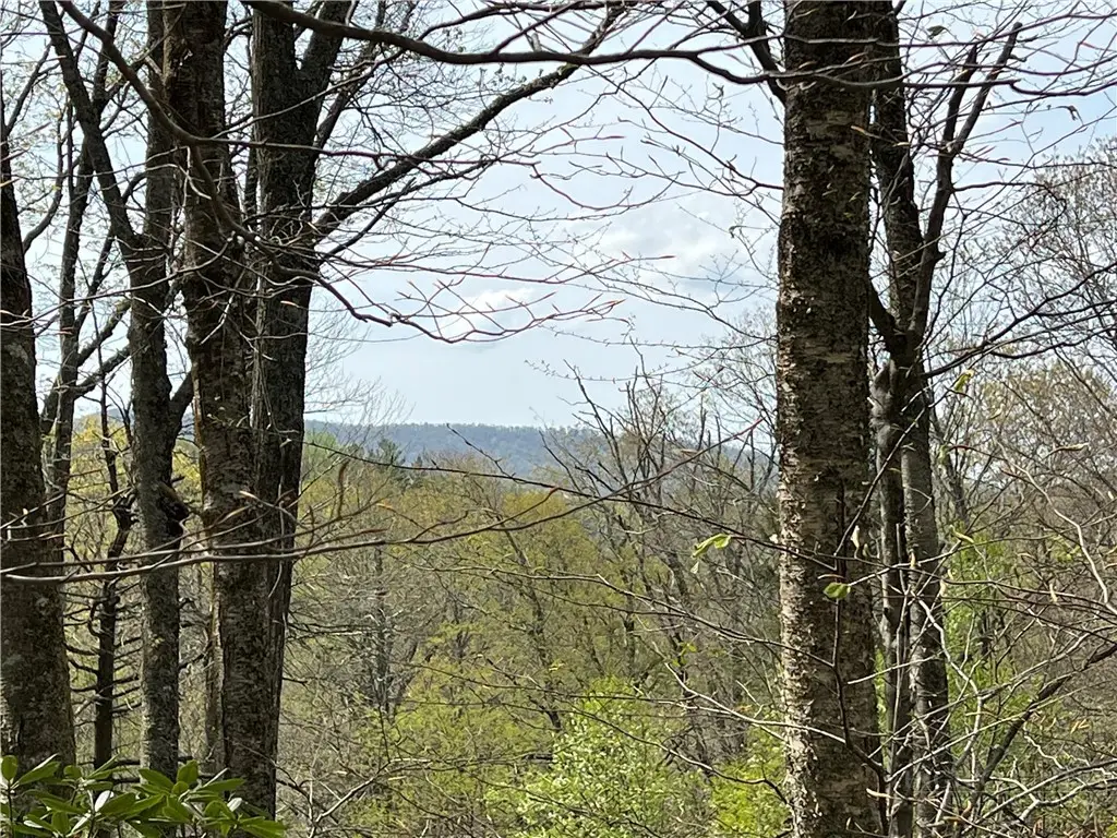 Lot 32 Piedra Road, Blowing Rock, NC 28605 - #1