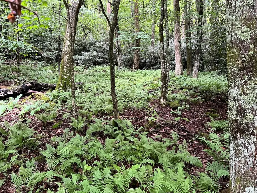 Lot 32 Piedra Road, Blowing Rock, NC 28605 - #2