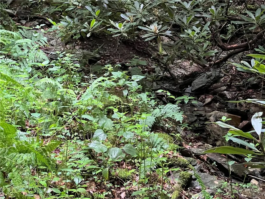 Lot 32 Piedra Road, Blowing Rock, NC 28605 - #3