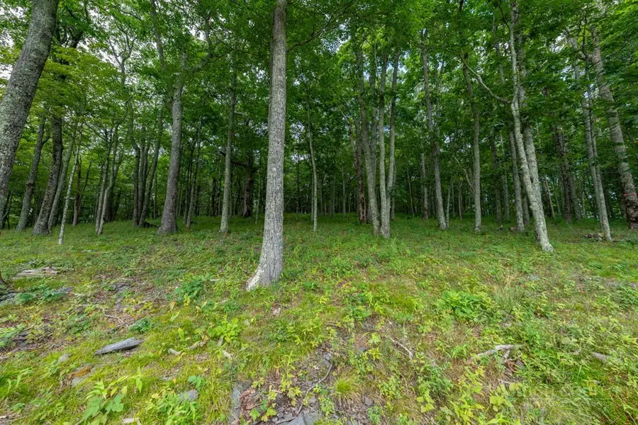 Lot 89 Elk Creek Mountain Parkway, Todd, NC 28684 - #2