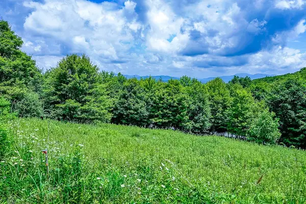 218 Old Mountain Road, Banner Elk, NC 28604
