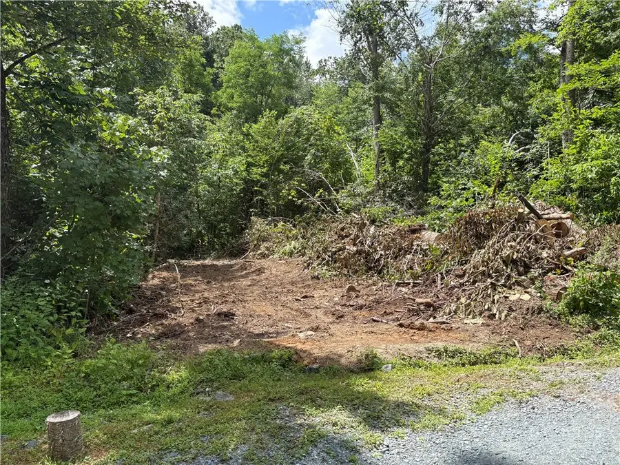 Lot 15 Shanty Springs Road, Banner Elk, NC 28604 - #2