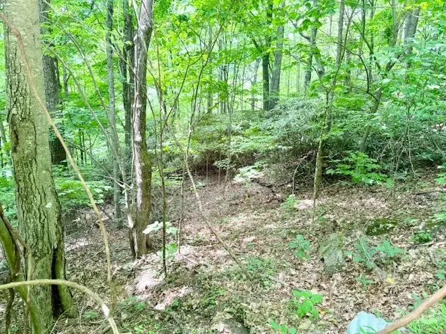 Lot 17 Savannah Drive, West Jefferson, NC 28694 - #2