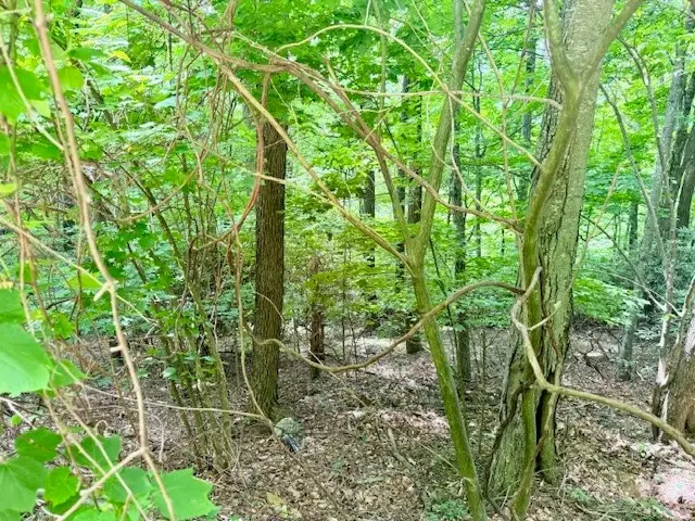 Lot 17 Savannah Drive, West Jefferson, NC 28694 - #3