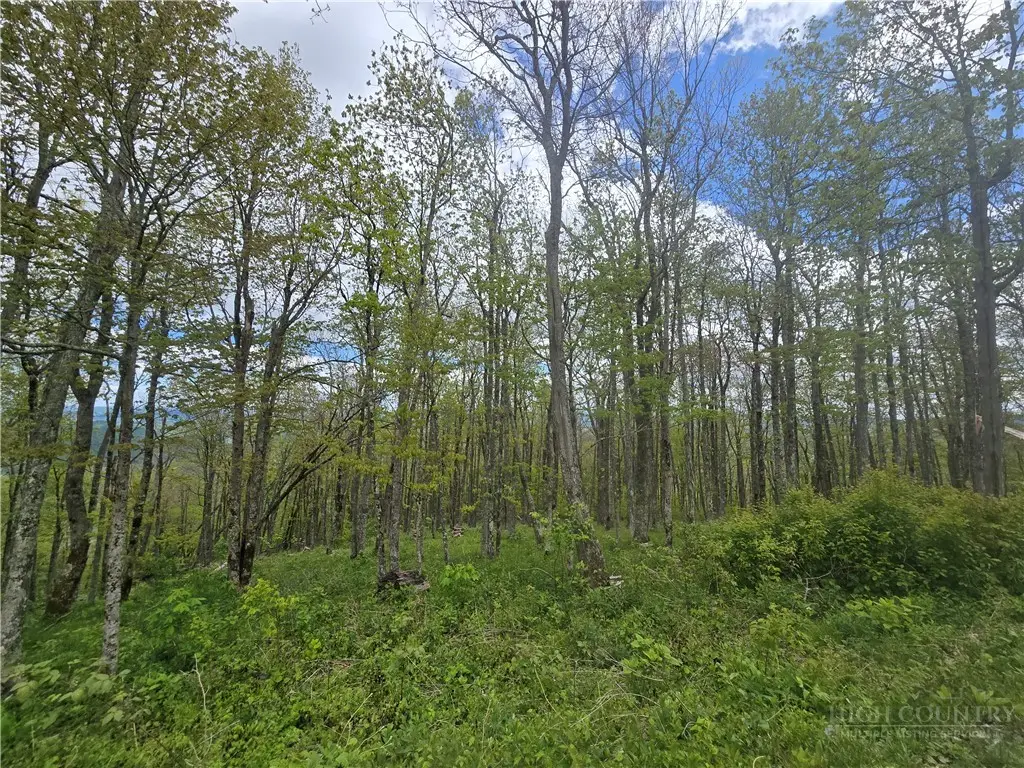 Lot 86 Elk Mountain Parkway, Todd, NC 28684 - #1