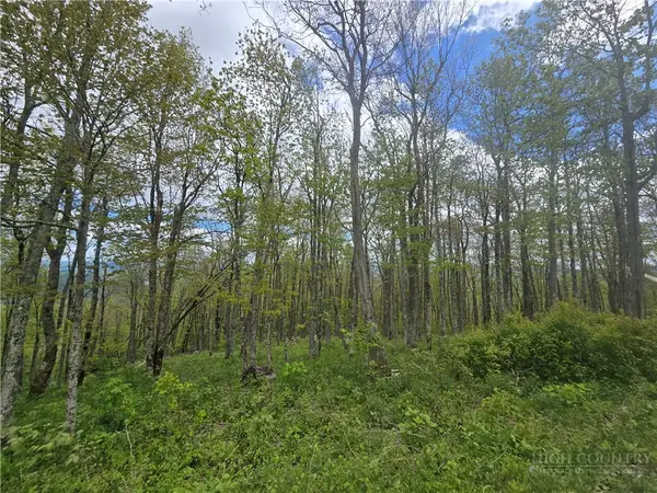Lot 86 Elk Mountain Parkway, Todd, NC 28684
