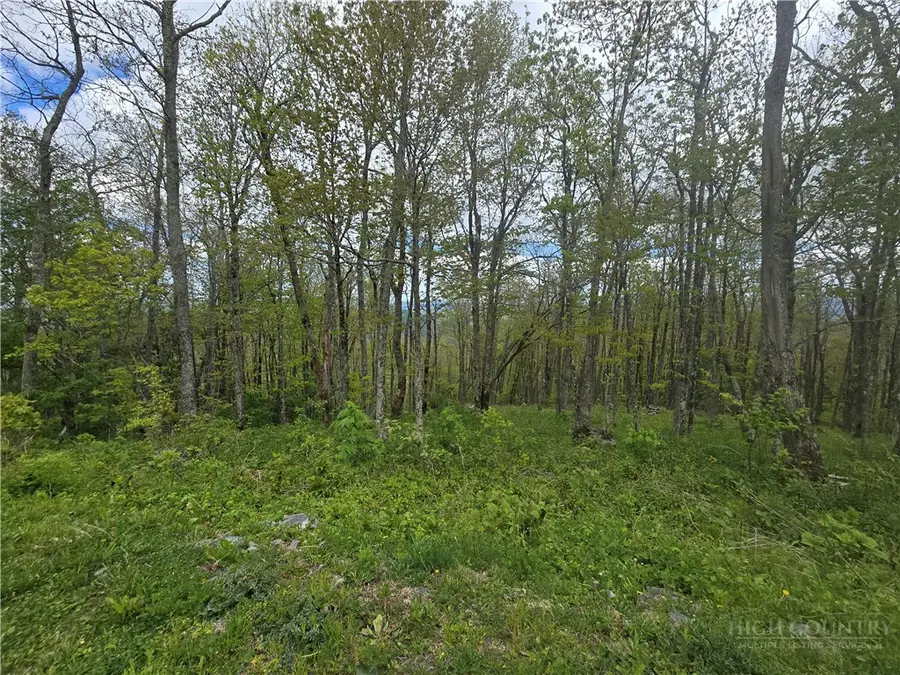 Lot 86 Elk Mountain Parkway, Todd, NC 28684 - #2