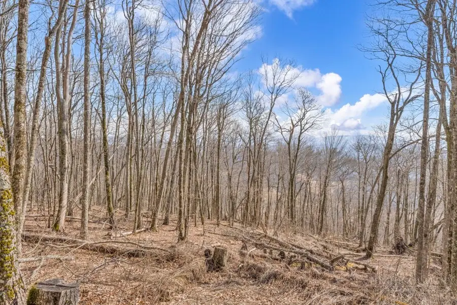 Lot 86 Elk Mountain Parkway, Todd, NC 28684 - #3