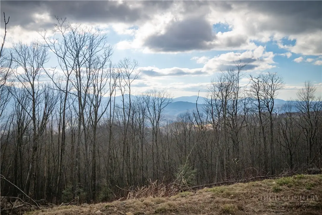 Lot 16A Talon Trail, Banner Elk, NC 28604 - #1