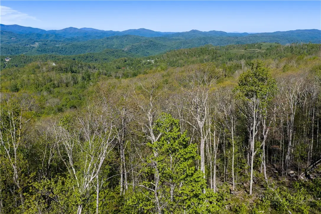 Lot 16C Talon Trail, Banner Elk, NC 28604 - #1
