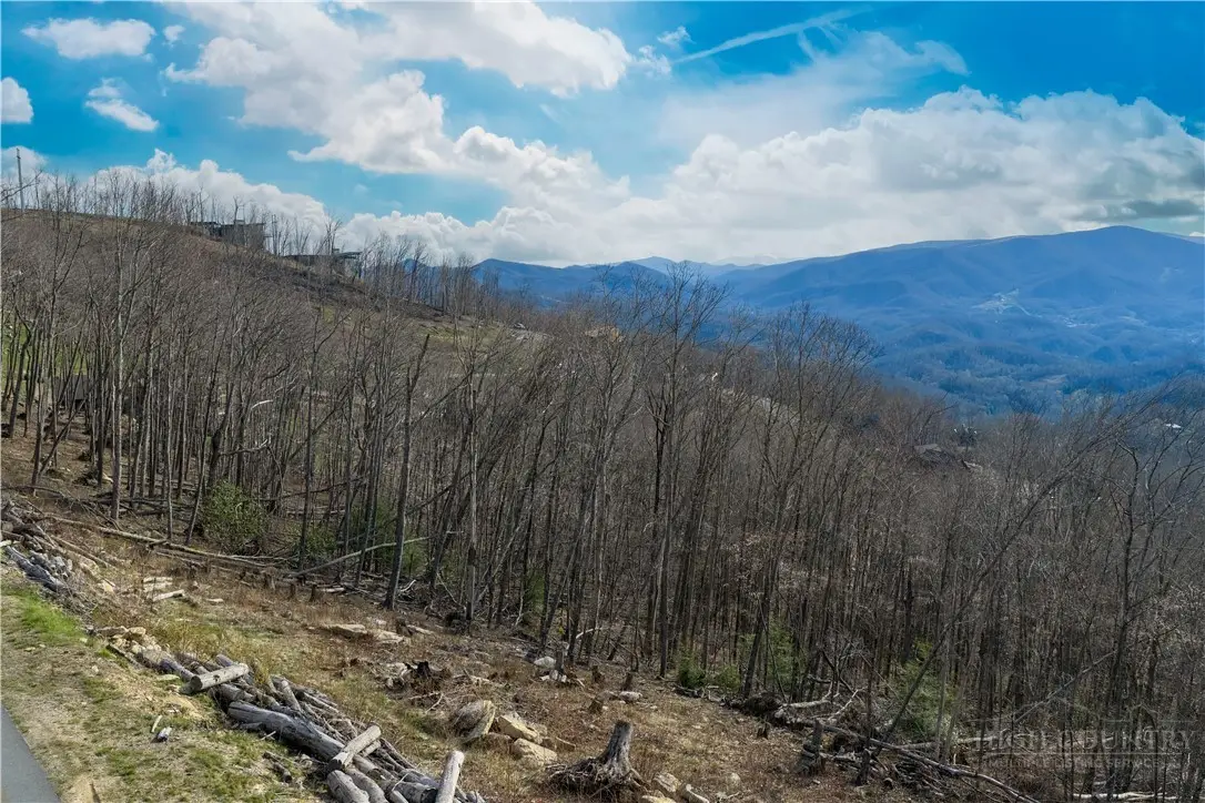 Lot 17C Talon Trail, Banner Elk, NC 28604 - #1