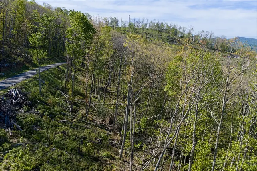 Lot 17C Talon Trail, Banner Elk, NC 28604 - #3