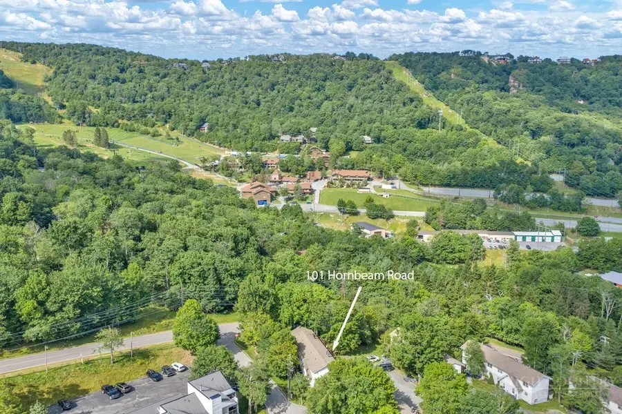 101 Hornbeam Road #1D, Beech Mountain, NC 28604 - #2