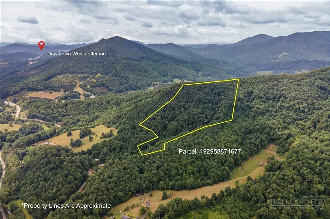 TBD Off Tom Pless Road, Warrensville, NC 28693 - #1