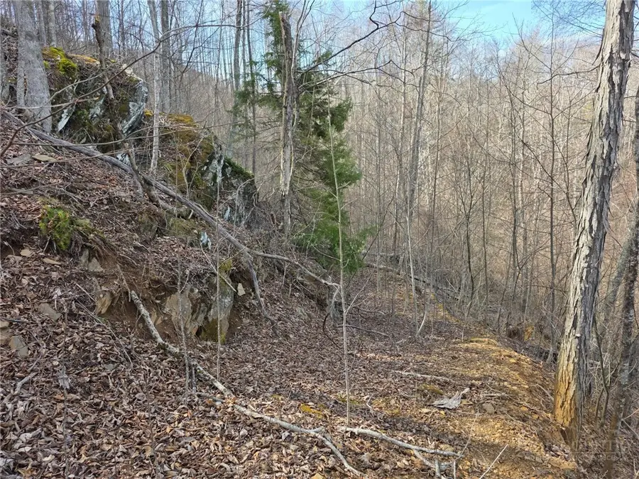TBD Off Tom Pless Road, Warrensville, NC 28693 - #2