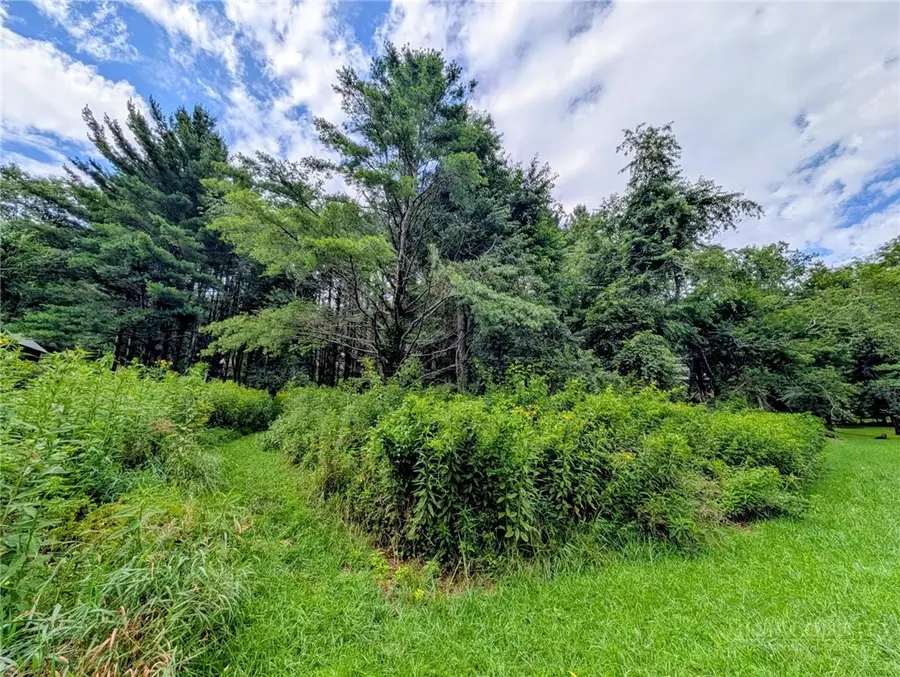 TBD Stuart Williams Road, Boone, NC 28607 - #2