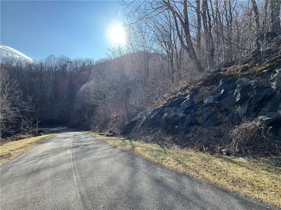 Lot 32 Jewel Weed Trail, Newland, NC 28657 - #2