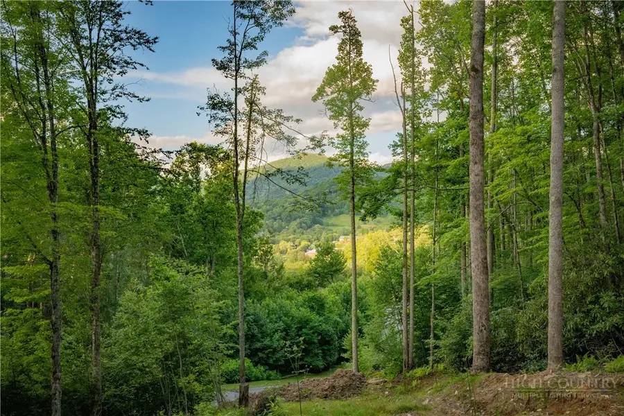 Lot 3 Elk Creek Drive, Banner Elk, NC 28604 - #2