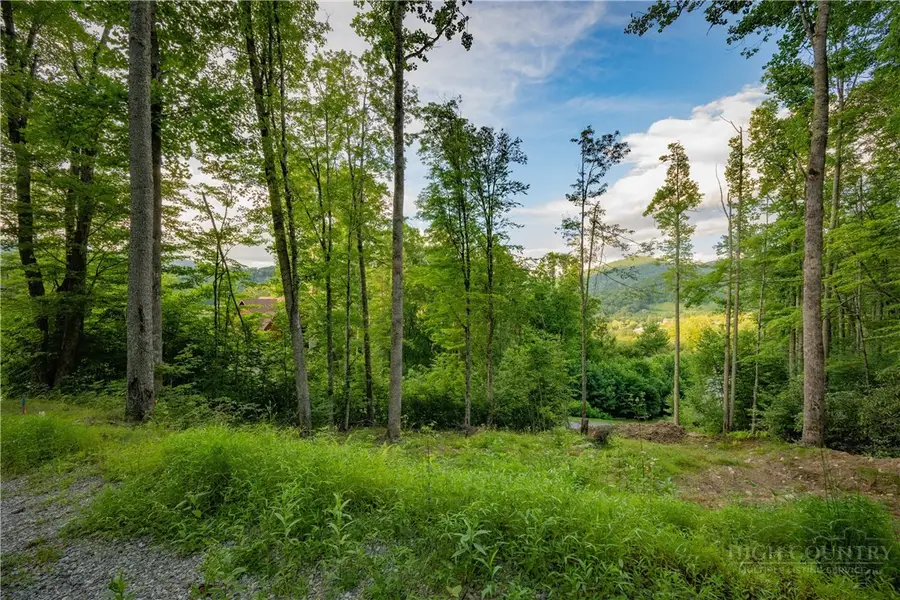 Lot 3 Elk Creek Drive, Banner Elk, NC 28604 - #3