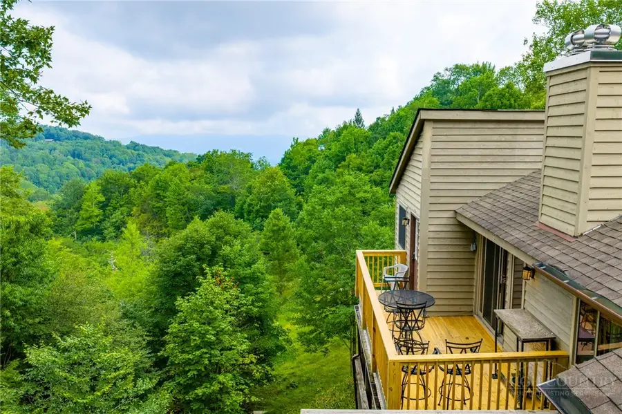 106 W Pond Creek Road #F, Beech Mountain, NC 28604 - #2